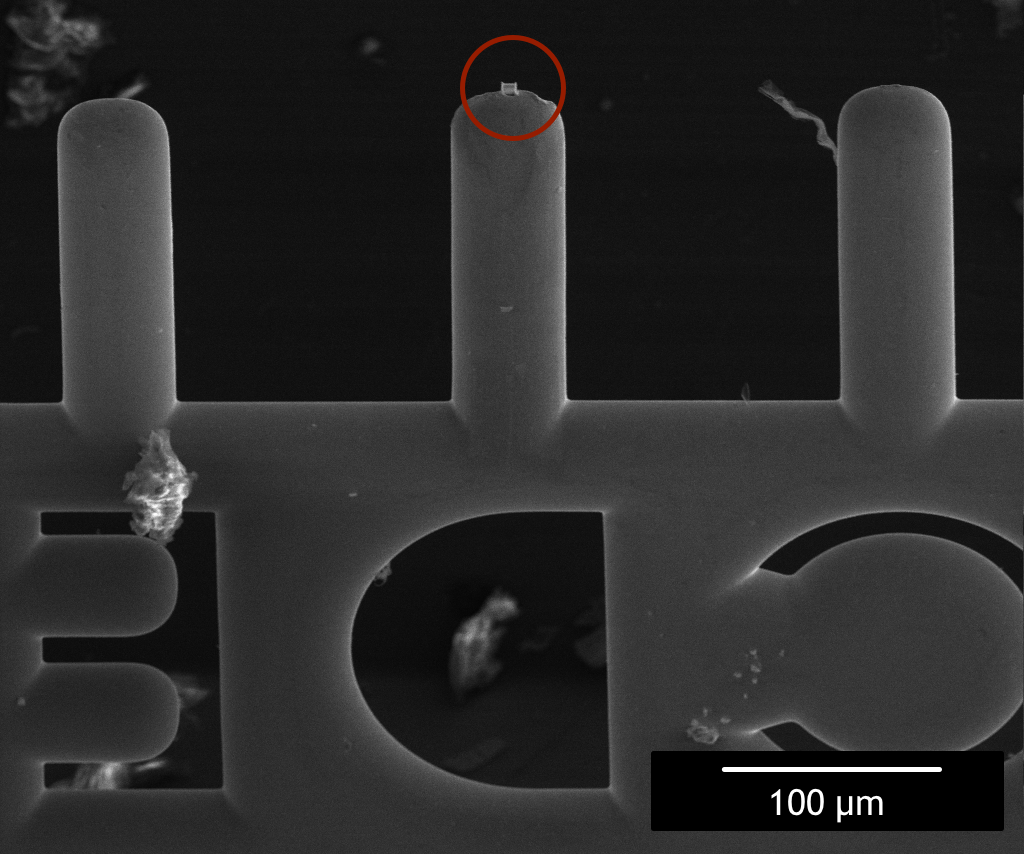 FIB_Carousel_TEM_Attach