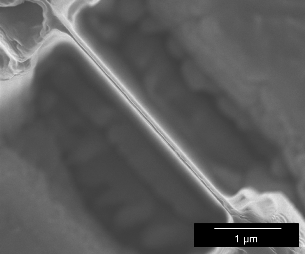 SEM_Carousel_ThinSilicon